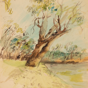 Watercolor sketch of a leaning tree by a calm river with a grassy foreground and rocky bank.